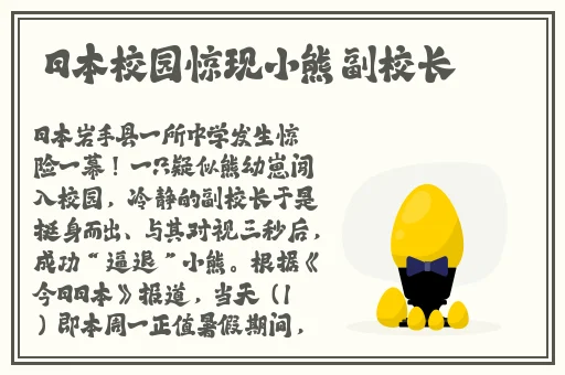 无法满足1980意大利冰岛语